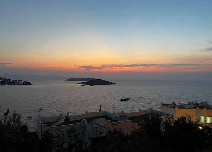 Villa In Yalikavak, Panoramic Sea View And *